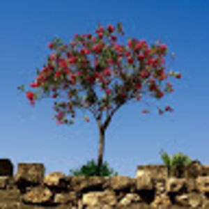 Meet your Posher, Lynne